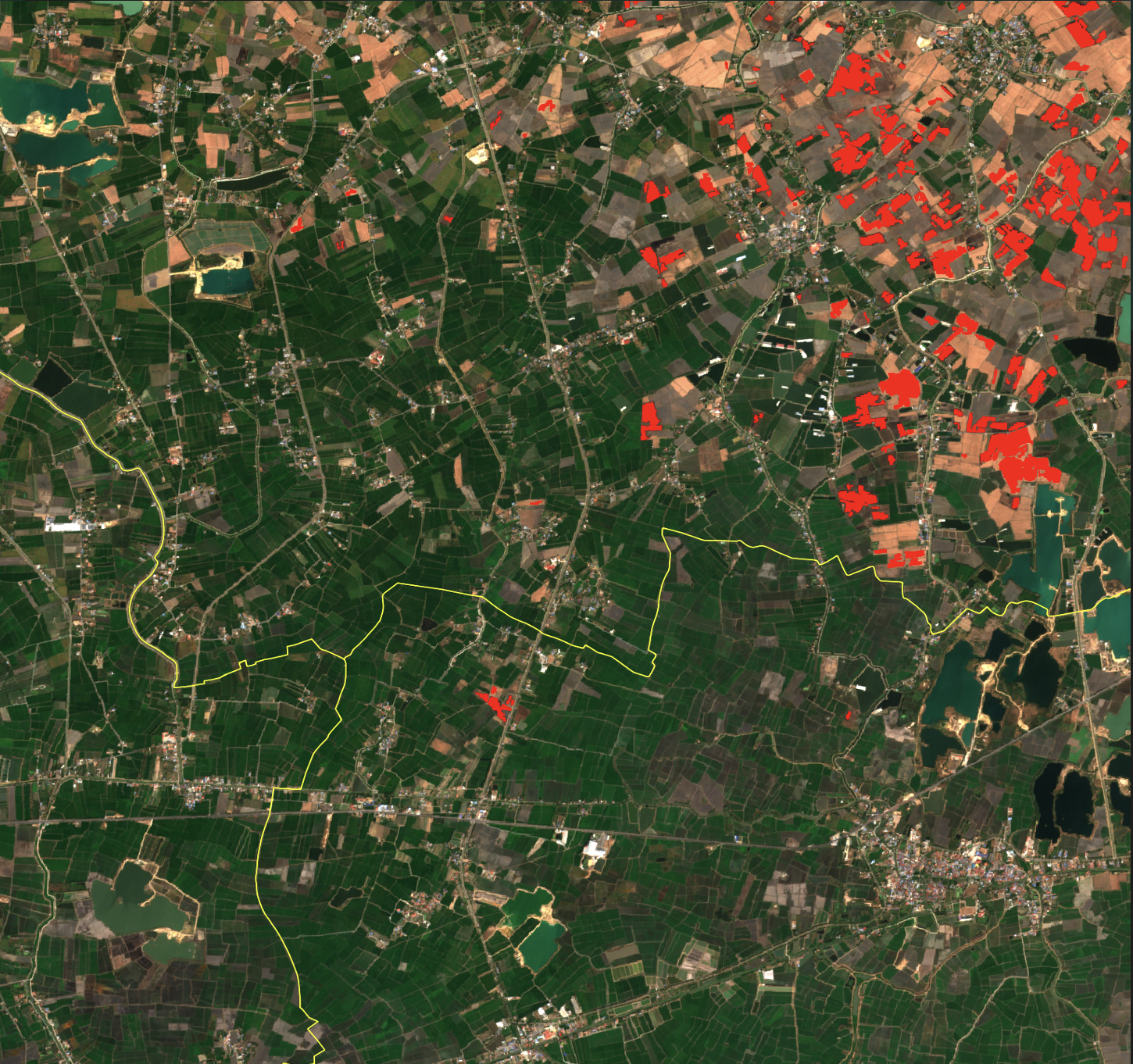 Global Burned Area